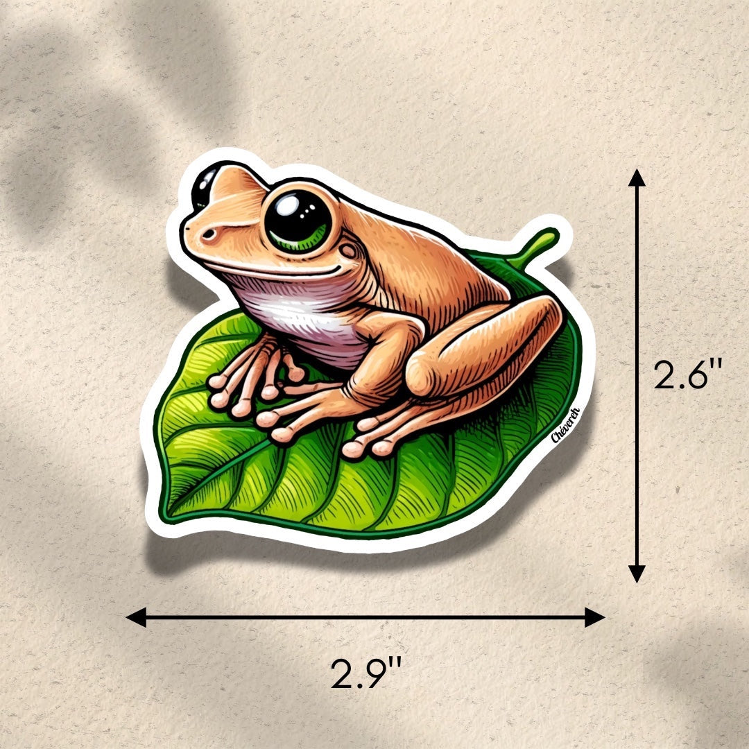 Chévereh Coquí Lindo vinyl sticker, a tan frog with large green eyes sits on a vibrant green leaf. Waterproof, glossy finish.