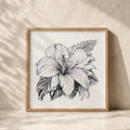Chévereh black and white hibiscus line art print in a light wood frame against a textured beige wall.
