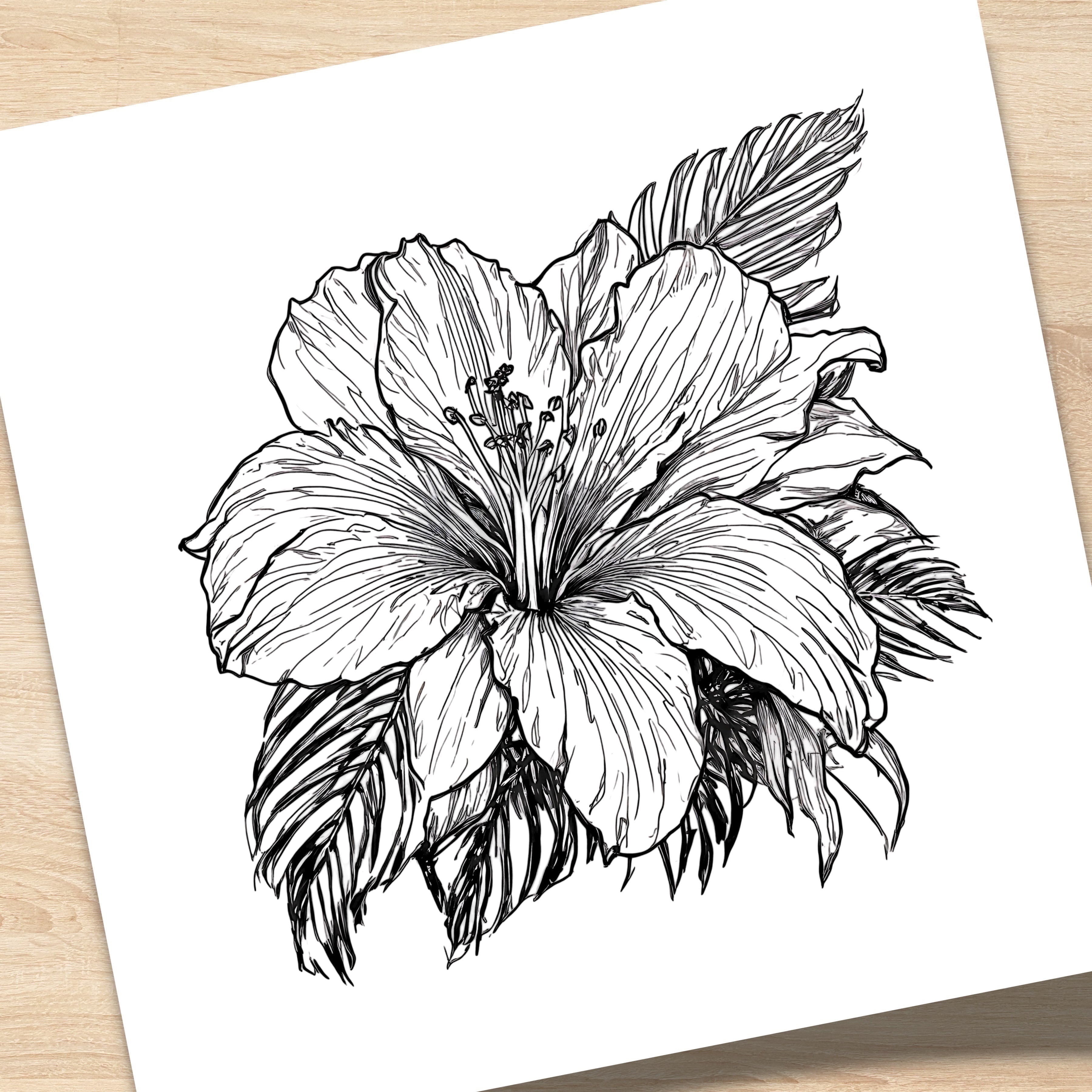 Chévereh minimalist black and white hibiscus flower line art print on a square white background.