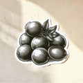 Chévereh Quenepas vinyl sticker with a detailed, engraved-style illustration of seven quenepas fruits and leaves. Waterproof and glossy finish.
